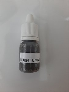 Tinta Air Dry - 4g Burnt Umber (Européia)