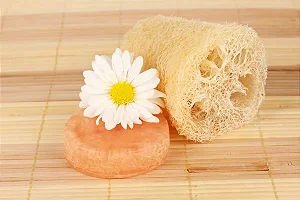 Esponja Bucha Vegetal Natural Esfoliação Atacado