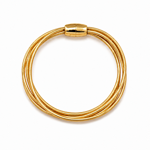 Bracelete Fios Tubos Gold