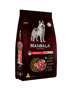 Mandala Adulto Carne e Arroz