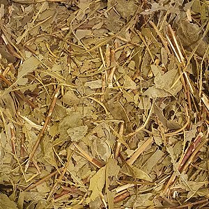Eucalipto em Folha - 200g