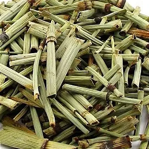 Chá de Cavalinha