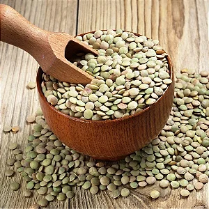 Lentilha Verde