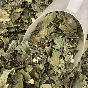 Chá Verde Nacional