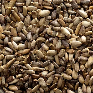 Cardo Mariano (semente a Granel)