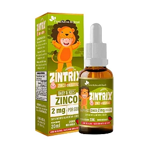 Zintrix Kids (Zinco 2mg/gota) Flora Nativa 20mL