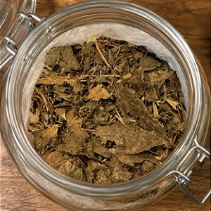Guaçatonga para chá (a granel - 100g ou 200g)