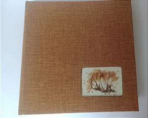 ​​​​​​​Álbum Clássico Mostarda