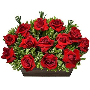 Rosas Vermelhas