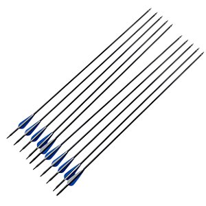 Kit 10 Flechas Ponta Rosca Fibra De Carbono De Pratica Esportiva Azul