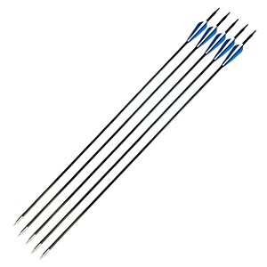 Kit 5 Flechas De Carbono 30'' Ponta Fixa Para Arco e Flecha