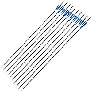 Kit 10 Flechas De Carbono 30'' Ponta Fixa Para Arco e Flecha