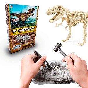 Kit Arqueologia Escavação Fóssil de Dinossauro