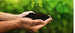Consultoria Redução de Carbono