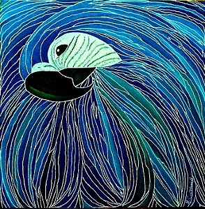 "ARARA AZUL"