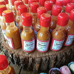 GARRAFA PLASTICA 60ML COM TAMPA FLIP BRANCA C/10 UND