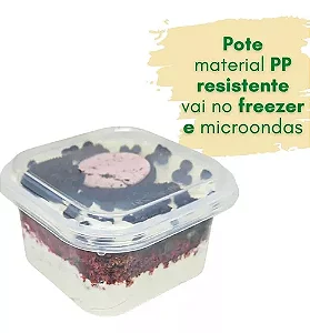 G 377 SF POTE QUADRADO 250ML C/10 UND
