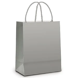 SACOLA PAPEL PRATA M 25X31 C/10