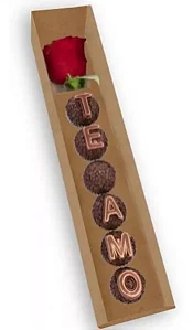 CAIXA PARA FLOR 5 DOCES KRAFT TAMPA ACETATO 32X6X5,5CM UND - K344