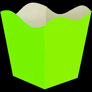 CACHEPO PEQ. VERDE LIMAO NEON C/10