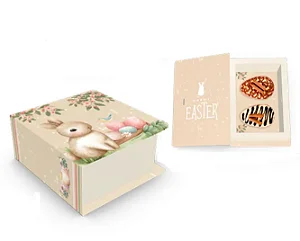 CAIXA LIVRO 2OVOS PASCOA ENCANTADA C/05 6X16X11