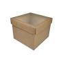 Caixa Ret Kraft c/ Visor 22X22X18 Unid