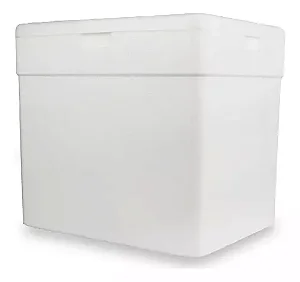 CAIXA ISOPOR TERMICA PM-140 08 LTS 29x21x24