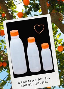 GARRAFA PLASTICA 500ML C/100 UND