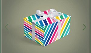 BOBINA PRESENTE 40CM CASUAL LISTRAS COLORIDAS REF 353