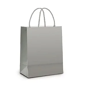 SACOLA PAPEL PRATA PP 18X22X9 C/10