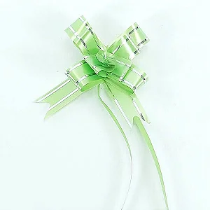 LACO PRONTO 25X12 VERDE CLARO COM PRATA 10 UND