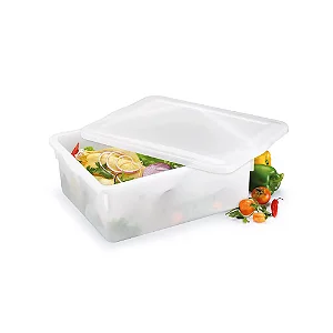 CAIXA ORGANIZADORA REF 540 CTPA 43x35x16