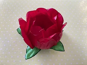 FORMA DOCE PRINCESA VERMELHO C/30 UND