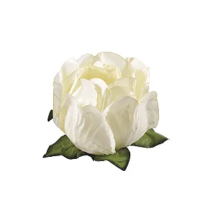 FORMA DOCE PRINCESA MARFIM C/30 UND