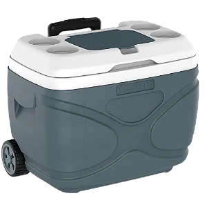 CAIXA TERMICA EVEREST 30 LITROS CINZA