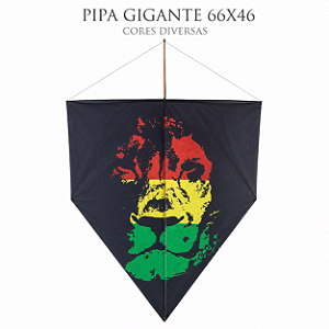 PIPA GIGANTE 66X46 CORES DIVERSAS UND