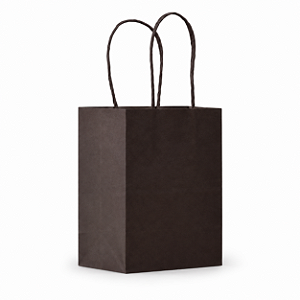 SACOLA PAPEL KRAFT MARROM 17,5X8,5X21,5CM C/10 UNIDADES