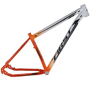 Quadro Bicicleta MTB First Smitt Platinium 29x15.5 BR/LJ/PT