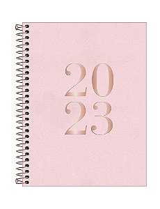 Agenda Executiva Espiral Diária 17,7 x 24 cm