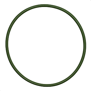 Guarnição Anel Bomba Combustivel Tiida Livina Sentra Flex 1.8 16v Flex