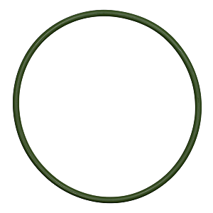 Guarnição Anel Bomba Combustivel Tiida Livina Sentra Flex 1.8 16v Flex