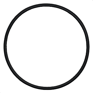 Anel Vedação Guarnição Bomba Combustível Peugeot 206 406 Partner TODOS