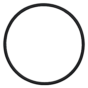 Anel Vedação Guarnição Bomba Combustível Peugeot 206 406 Partner TODOS