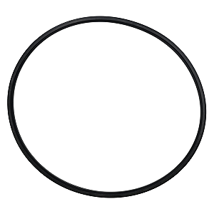 Anel Guarnição Vedação Filtro De Ar Fiat Uno Todos Monoponto