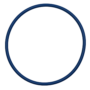 Anel Vedação Bomba Combustível Corolla 2008 09 10 11 12 13 14 15 16 17 18 2019