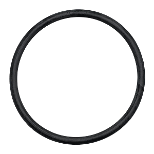 Anel Vedação Guarnicão Bomba De Combustivel S10 Blazer