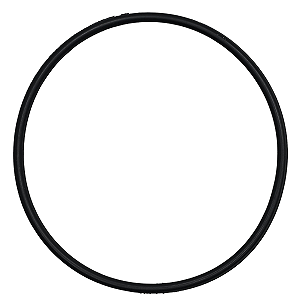 Guarnição Borracha Anel Vedação Bomba De Combustível Renault Todos