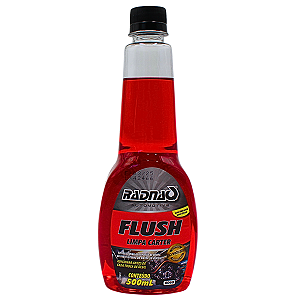 Flush Limpa Carter Automotivo Radnaq 500ml