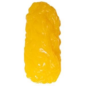 Réplica Gordura Corporal Humana 1kg Realista Educação Saúde