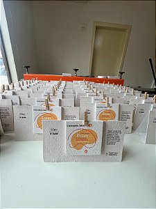 Calendário Papel Semente Plantável